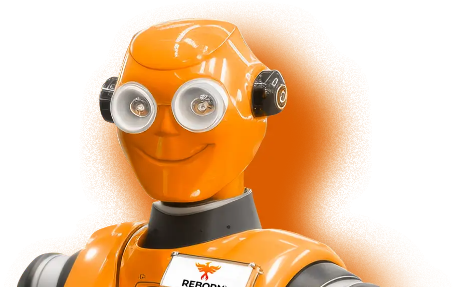 Reborn_Robot FREE REPAIR ESTIMATE